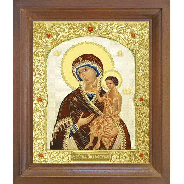 Ікона Виховання 25-П-101