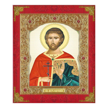 Ікона Євген 22-Д-113