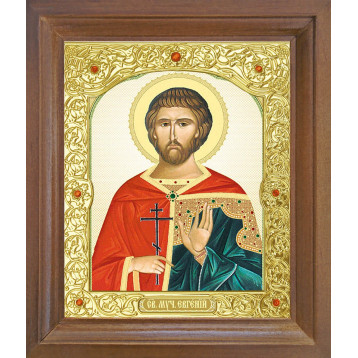 Ікона Євген 25-П-113