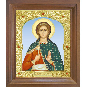 Ікона Надія 25-П-157