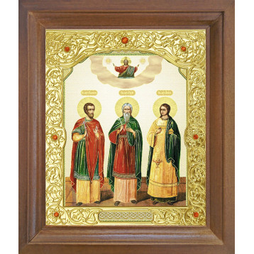 Ікона Гурій, Самон, Авів 25-П-230