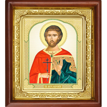 Ікона Євген 16-П-113
