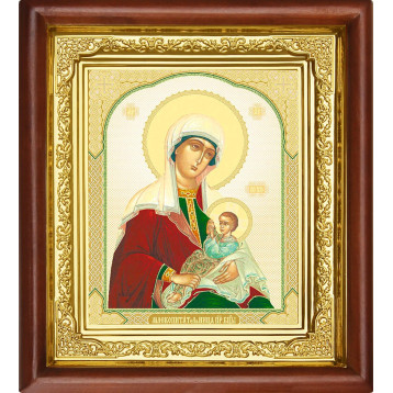 Ікона Млекопитательница Божа Матір 16-П-153