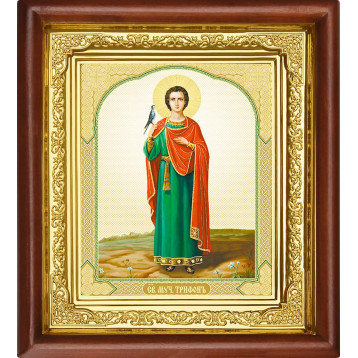 Ікона Трифон 16-П-186