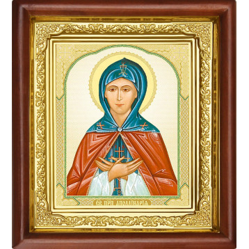 Ікона Аполлінарія 16-П-81