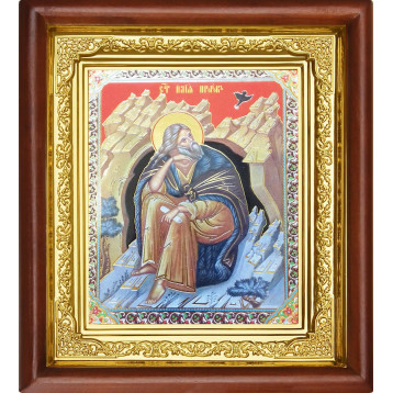 Ікона Ілля Пророк 16-П-125