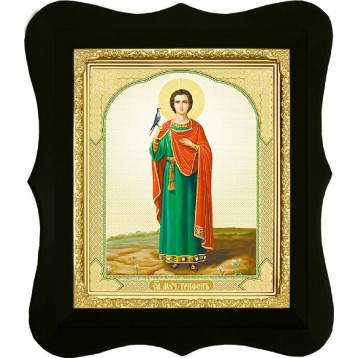 Ікона Трифон 16-Ф-186