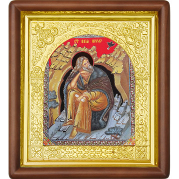 Ікона Ілля Пророк 17-П-124